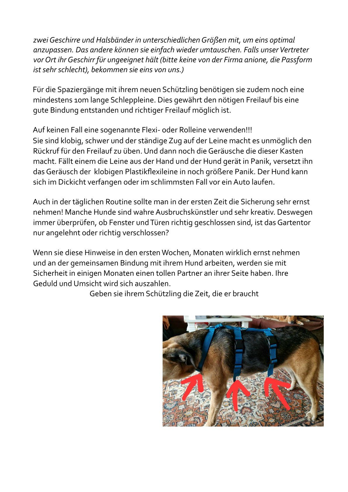 Die richtige Sicherung