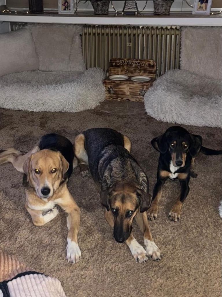 Kiko, Mitsos und Kasimir