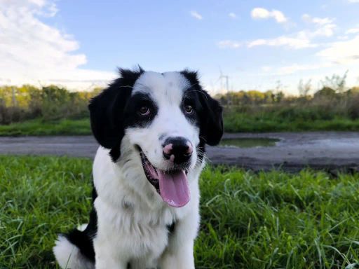 Yuki