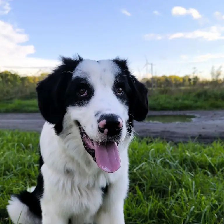 Yuki
