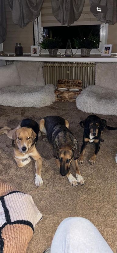 Kiko, Mitsos und Kasimir