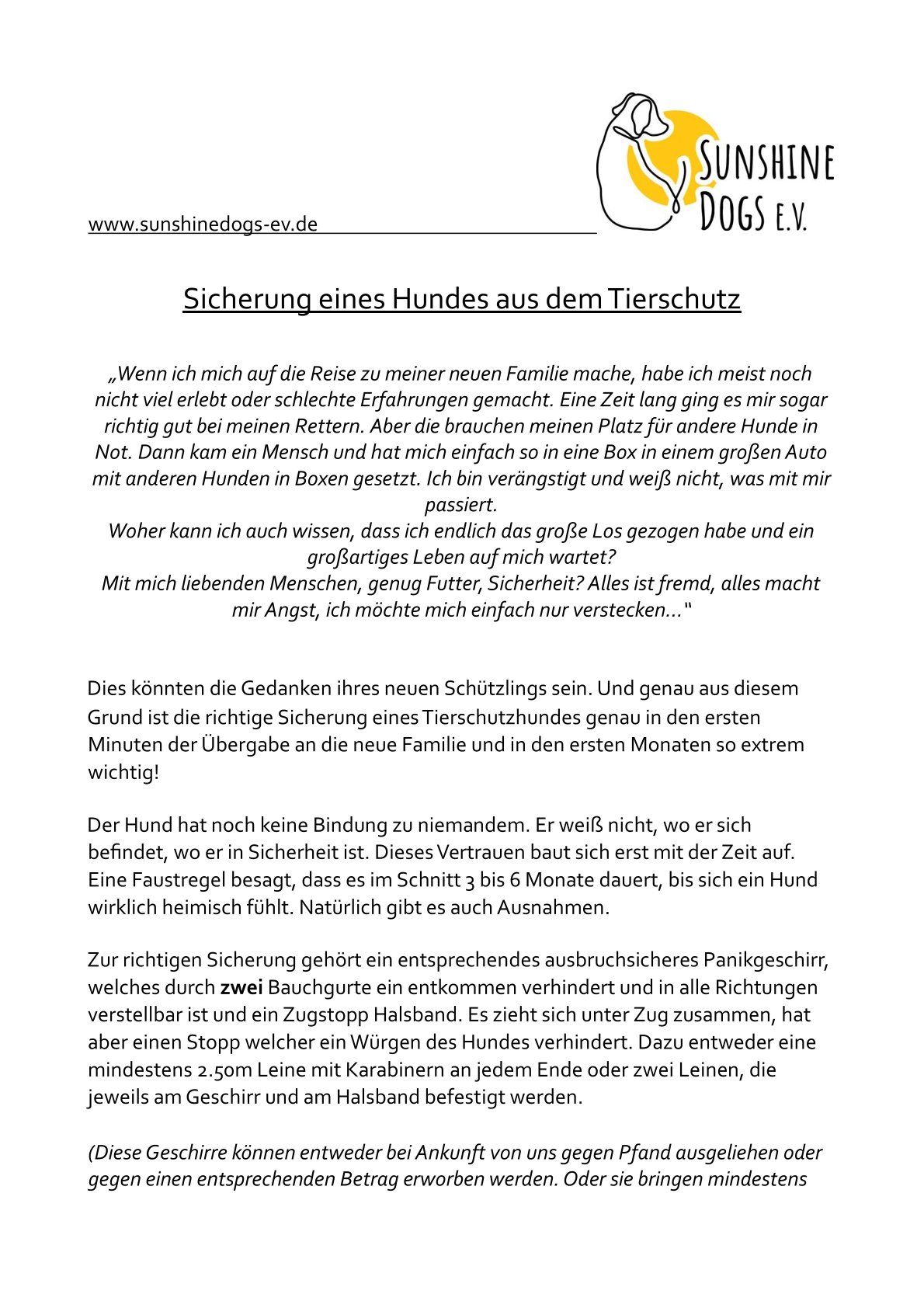 Die richtige Sicherung