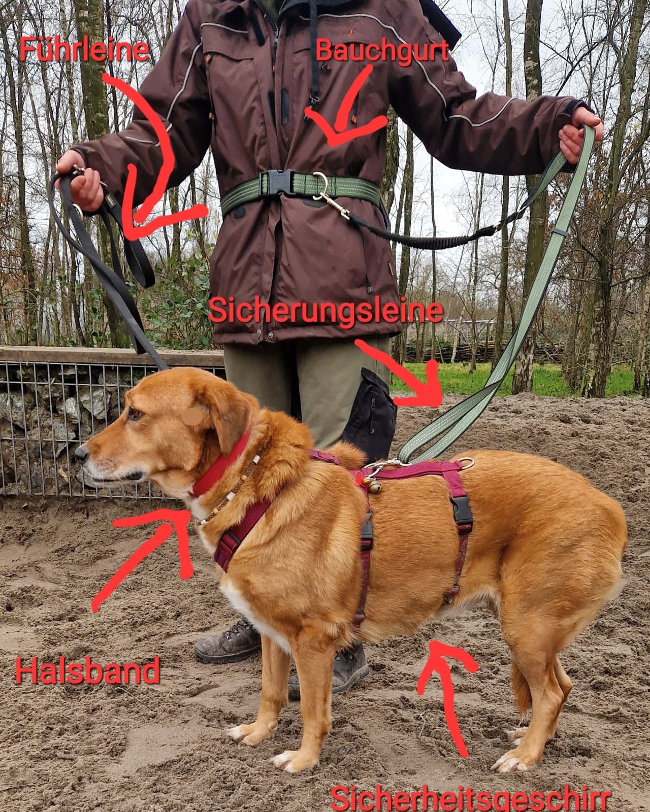 Die richtige Sicherung